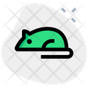 Laboratory Mouse Icon