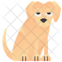 Labrador Icon