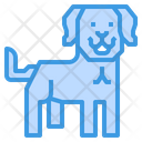 Labardor Dog Animal Icon