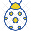 Lady Bug Insect Icon