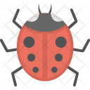 Ladybird Insect Ladybug Icon