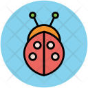 Ladybird Insect Ladybug Icon