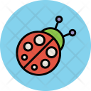 Ladybird Insect Toy Icon