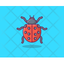 Insect Fly Insect Ladybird Icon