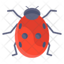 Insect Fly Insect Ladybird Icon