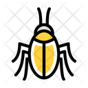 Ladybird Icon