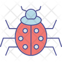 Ladybird Icon