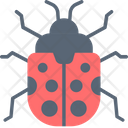 Ladybug Bug Beatle Icon