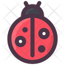 Spring Ladybug Bug Icon