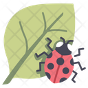 Leaf Ladybug Nature Icon