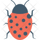 Ladybird Ladybug Insect Icon