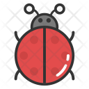 Ladybird Ladybug Insect Icon