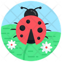 Lady Beetle Ladybug Coccinellidae Icon