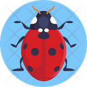 Ladybug Bugs Insect Icon