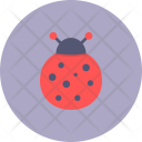 Ladybug Spring Easter Icon