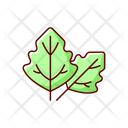 Lambs Quarters  Icon