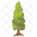 Cypress Larix Larch Icon