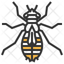 Larva Insect Bug Icon