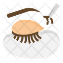 Lashes Extension Icon