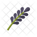 Lavender Flower Oil Icon