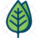 Leaf Nature Spring Icon