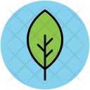 Leaf Nature Greenery Icon