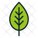 Spring Plant Ecology Icon