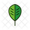 Leaf Green Leaf Greenery Icon