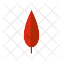 Leaf Icon