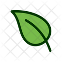 Leaf Filled Color Icon