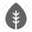Leaf Nature Green Icon