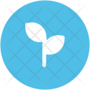 Leaf Branches Plant Icon