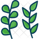 Leaf Plant Leaf Tree Leaf Icon