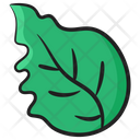 Leaf Foliate Nature Icon