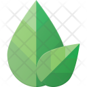 Leaf  Icon
