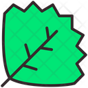 Bigger Leaf Icon