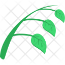 Natural Eco Plant Icon