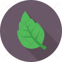 Leaf Agriculture Nature Icon