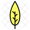 Leaf Icon