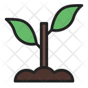 Leaf Icon