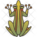 Leaf Frog Icon