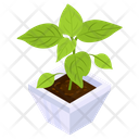 Leaf Houseplant Icon