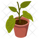 Leaf Houseplant Icon