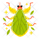 Leaf Insect Icon