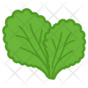 Leafy  Icon