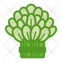 Leafy  Icon