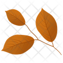 Leafy Twig  Icon