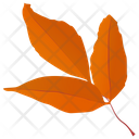 Leafy Twig  Icon
