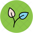 Leaves Petals Flower Icon