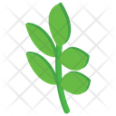 Leaves Plant Nature Icon